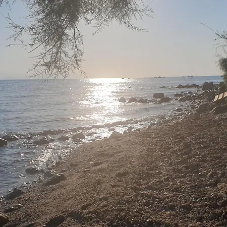 Sunrise * بوليخرونو